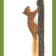 Red Squirrel - a quick…