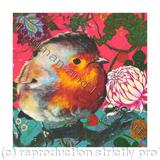 Robin III - Giclee Print on fine art paper