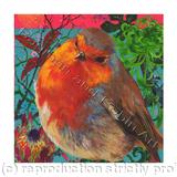 Robin IV - Giclee Print on fine art paper