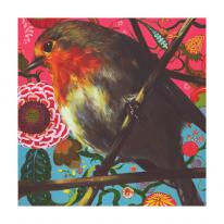 Robin 2