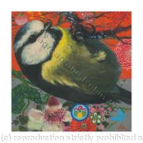 Blue Tit V