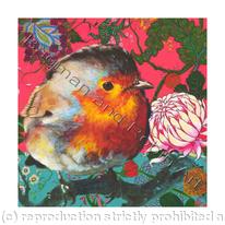 Robin III