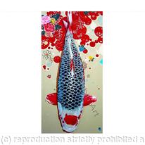 Elvis the carp