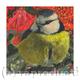 Blue Tit I | £40 | | Giclee Print on fine art paper Blue Tit I