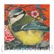 Blue Tit III | £40 | | Giclee Print on fine art paper Blue Tit III