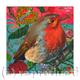 robin I | £40 | | Giclee Print on fine art paper robin I