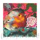 Robin III | £40 | | Giclee Print on fine art paper Robin III