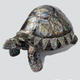 Tortoise