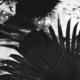 Kew-Gardens_0003