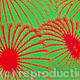 Cactus 6