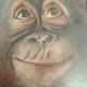 chimp | | | chimp