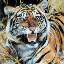 Tiger Tiger