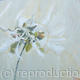 one flower