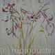 Dried Flowers