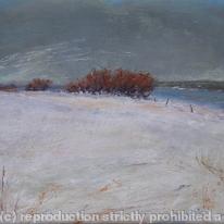 Another Snowstorm