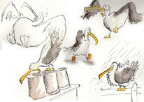 seagull-copy
