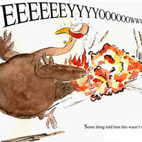 turkey2-copy