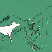 Nervous whippet