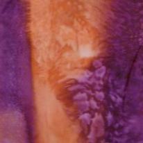 Purple Scarf