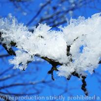 Ice Crystals