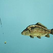 Mirror carp