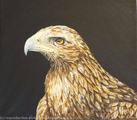  Bird of prey -Golden Eagle