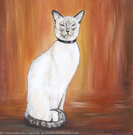 Cat Portrait - Alba - Siamese Cat