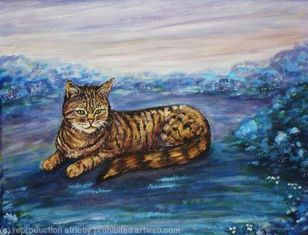 Twilight Tabby Cat