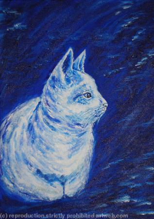 Cat portrait -Misty by Moonlight