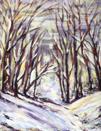 Snowy Path, Woodbank Park, Stockport
