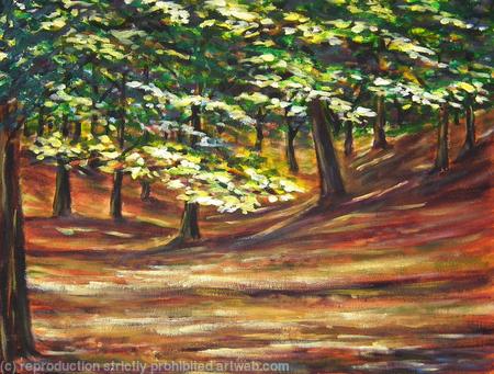 Sunlit Woods, Etherow, Stockport