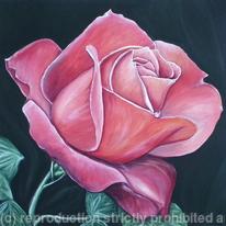 Devon Rose, small red flower