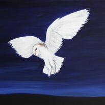  Bird of prey - White Ghost - Barn Owl