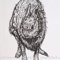 Wildlife portrait - Hare