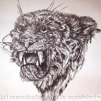 Big Cat Wildlife portrait - Leopard