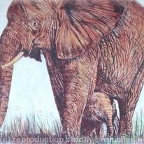 Wildlife portrait - Elephant and baby