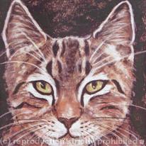 Cat Portrait - Mad Max - Tabby Cat