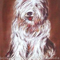 Dog Portrait -  Sebastian - sheep dog