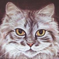 Cat Portrait - Lucy - Look Into My Eyes!