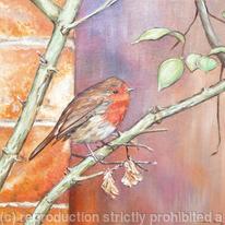 Bird Wildlife portrait - Robin at Bramhall Park