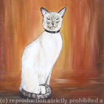 Cat Portrait - Alba - Siamese Cat