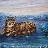 Twilight Tabby Cat