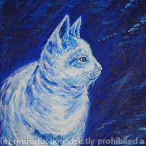 Cat portrait -Misty by Moonlight