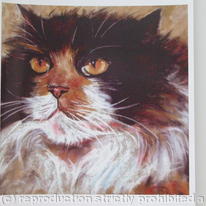 Cat Portrait - Ruby, fluffy tortoiseshell cat