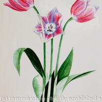 Red Tulips