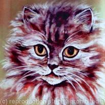Cat Portrait - Amber