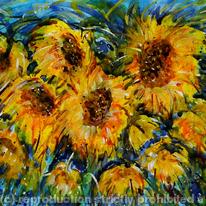 Sun Flower Burst