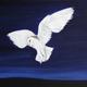 Bird of prey - White…