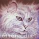 Cat Portrait -white…