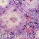 abstract - Purple Haze